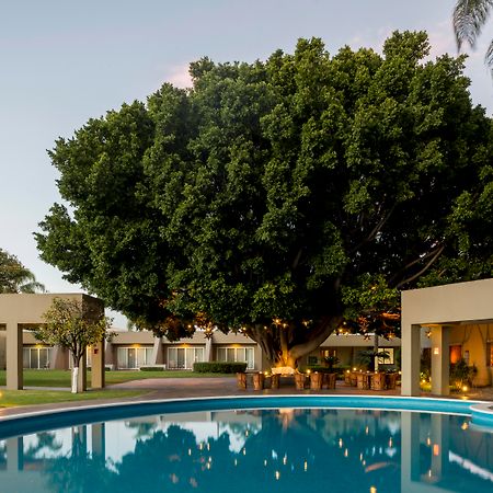 Camino Real Guadalajara Ξενοδοχείο Zapopan Εξωτερικό φωτογραφία The Banyan Resort
