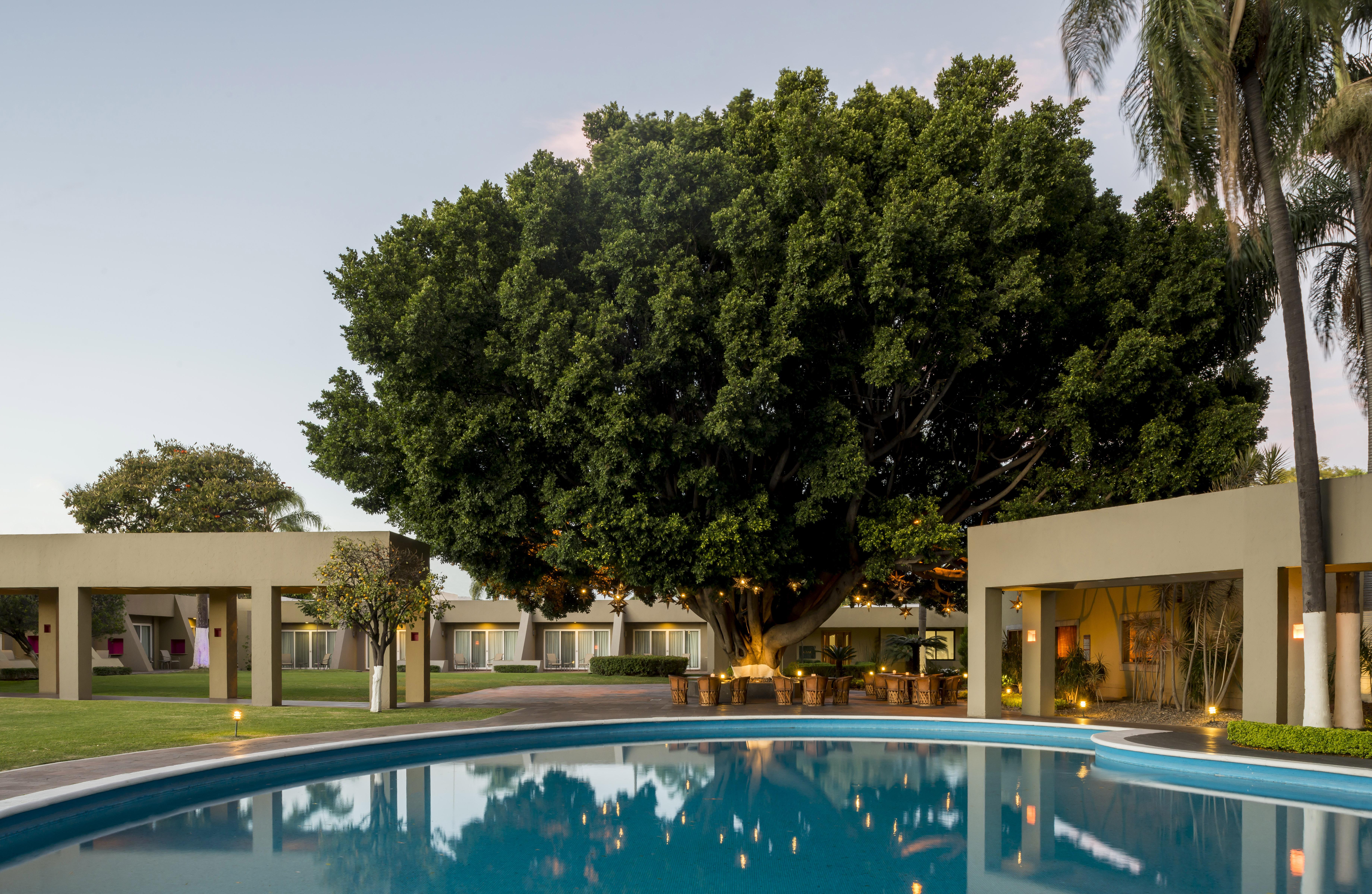 Camino Real Guadalajara Ξενοδοχείο Zapopan Εξωτερικό φωτογραφία The Banyan Resort